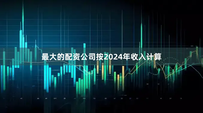 最大的配资公司按2024年收入计算