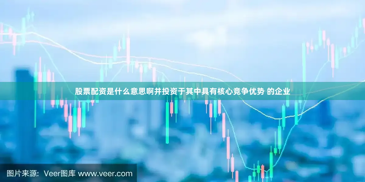 股票配资是什么意思啊并投资于其中具有核心竞争优势 的企业